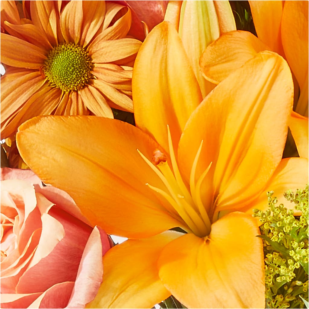 Harvest Hayride Bouquet –  Windsor Florist Inc., The, New York NY