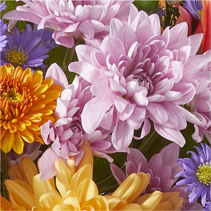 Countryside Bouquet –  Windsor Florist Inc., The, New York NY