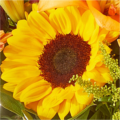 Seasons Change Bouquet –  Windsor Florist Inc., The, New York NY