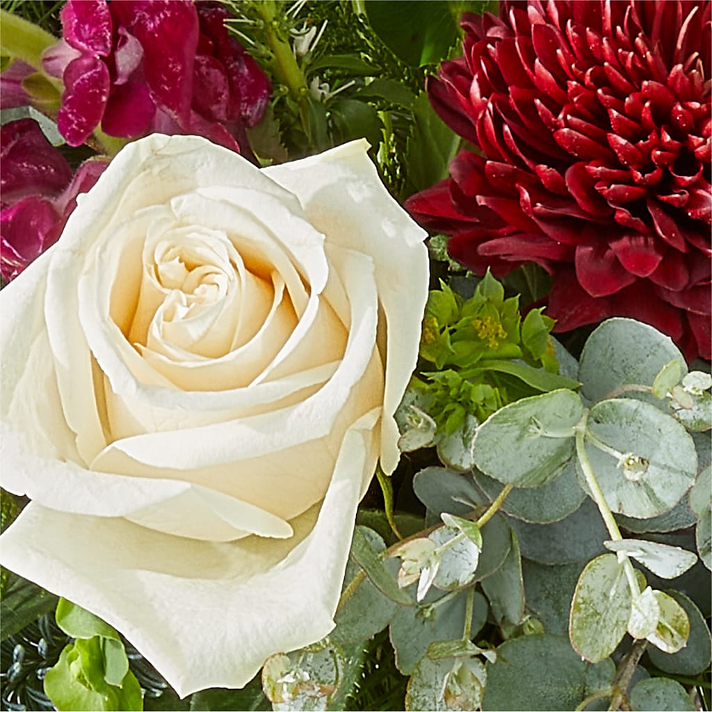 Cranberry Fizz Bouquet –  Windsor Florist Inc., The, New York NY