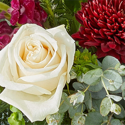 Cranberry Fizz Bouquet –  Windsor Florist Inc., The, New York NY