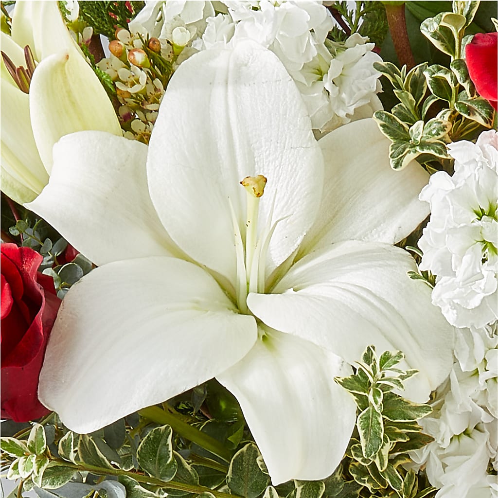 Twinkle Lights Bouquet –  Windsor Florist Inc., The, New York NY