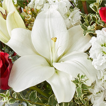 Twinkle Lights Bouquet –  Windsor Florist Inc., The, New York NY