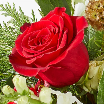 Deck the Halls Bouquet –  Windsor Florist Inc., The, New York NY