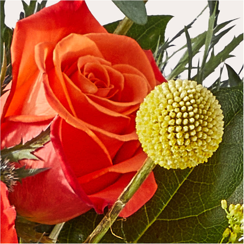 Disco Bouquet –  Windsor Florist Inc., The, New York NY