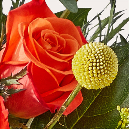 Disco Bouquet –  Windsor Florist Inc., The, New York NY