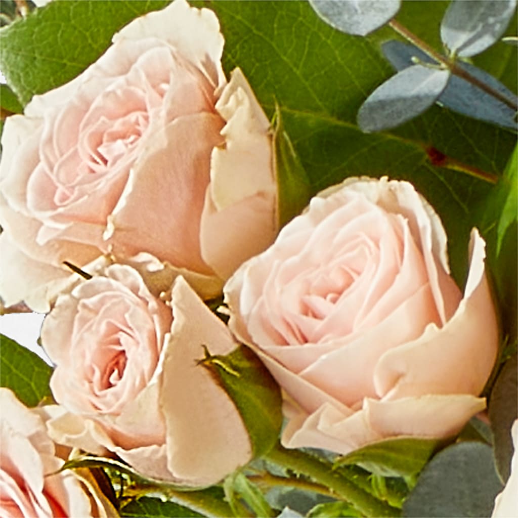 Inspired Bouquet –  Windsor Florist Inc., The, New York NY
