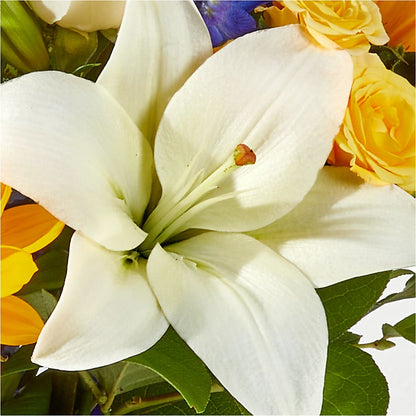 Wonderfully Sunny Bouquet –  Windsor Florist Inc., The, New York NY