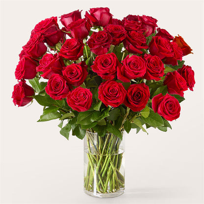 The One Red Rose Bouquet –  Windsor Florist Inc., The, New York NY