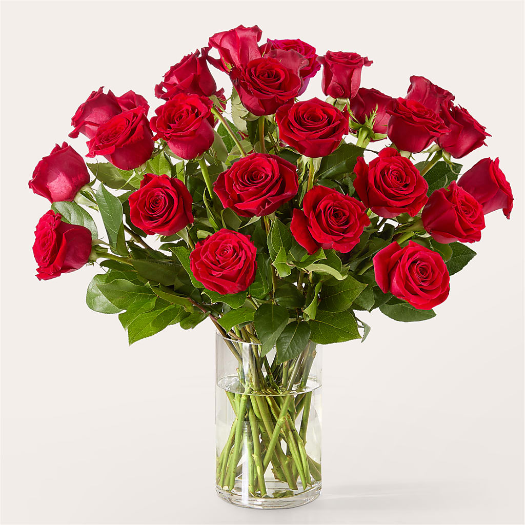 The One Red Rose Bouquet –  Windsor Florist Inc., The, New York NY