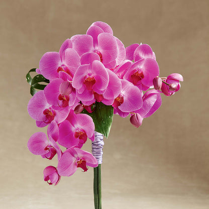Glorious Bouquet –  Windsor Florist Inc., The, New York NY