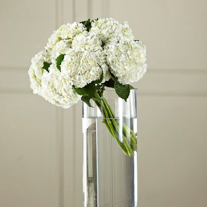 White Hydrangea Hand-Tied Bouquet –  Windsor Florist Inc., The, New York NY