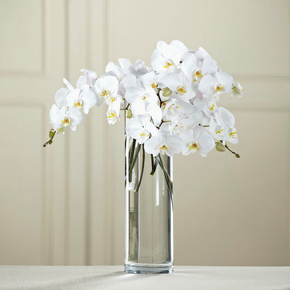 White Phalaenopsis Bouquet –  Windsor Florist Inc., The, New York NY