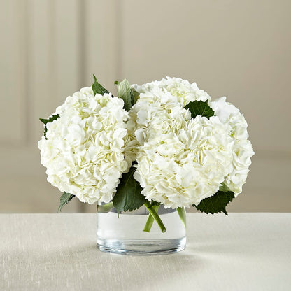 White Hydrangea Bouquet –  Windsor Florist Inc., The, New York NY